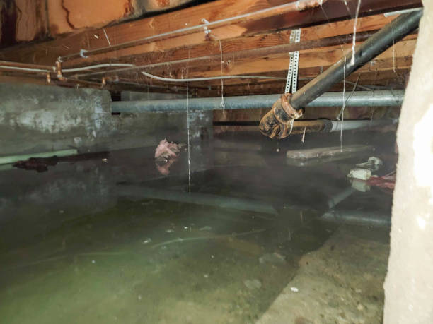 Reliable Raymondville, TX Water damage restoration Solutions