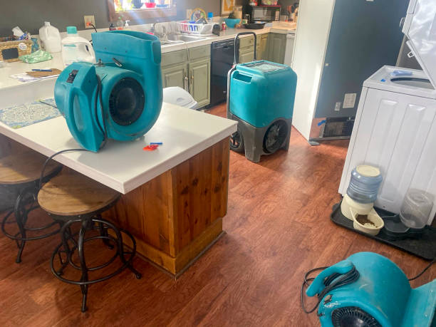 Carpet water damage restoration in Raymondville, TX