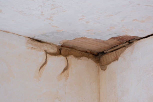 Best Water damage contractors near me  in Raymondville, TX