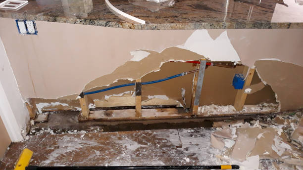 Best Professional water damage repair  in Raymondville, TX