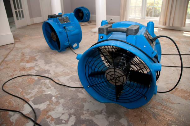 Best Carpet water damage restoration  in Raymondville, TX