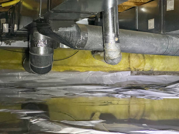 Best 24/7 water damage repair  in Raymondville, TX