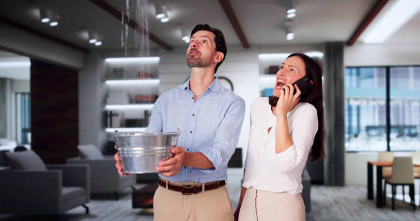 Water damage restoration mold remediation in Raymondville, TX