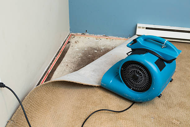 Best Commercial water damage restoration  in Raymondville, TX